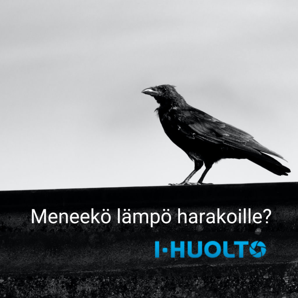 I-huolto. Haiku creative markkinointi Lappeenranta